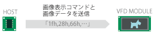 画像表示コマンドと画像データで、画像を表示